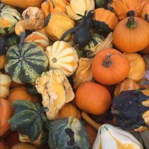 Meet your Posher, Janette